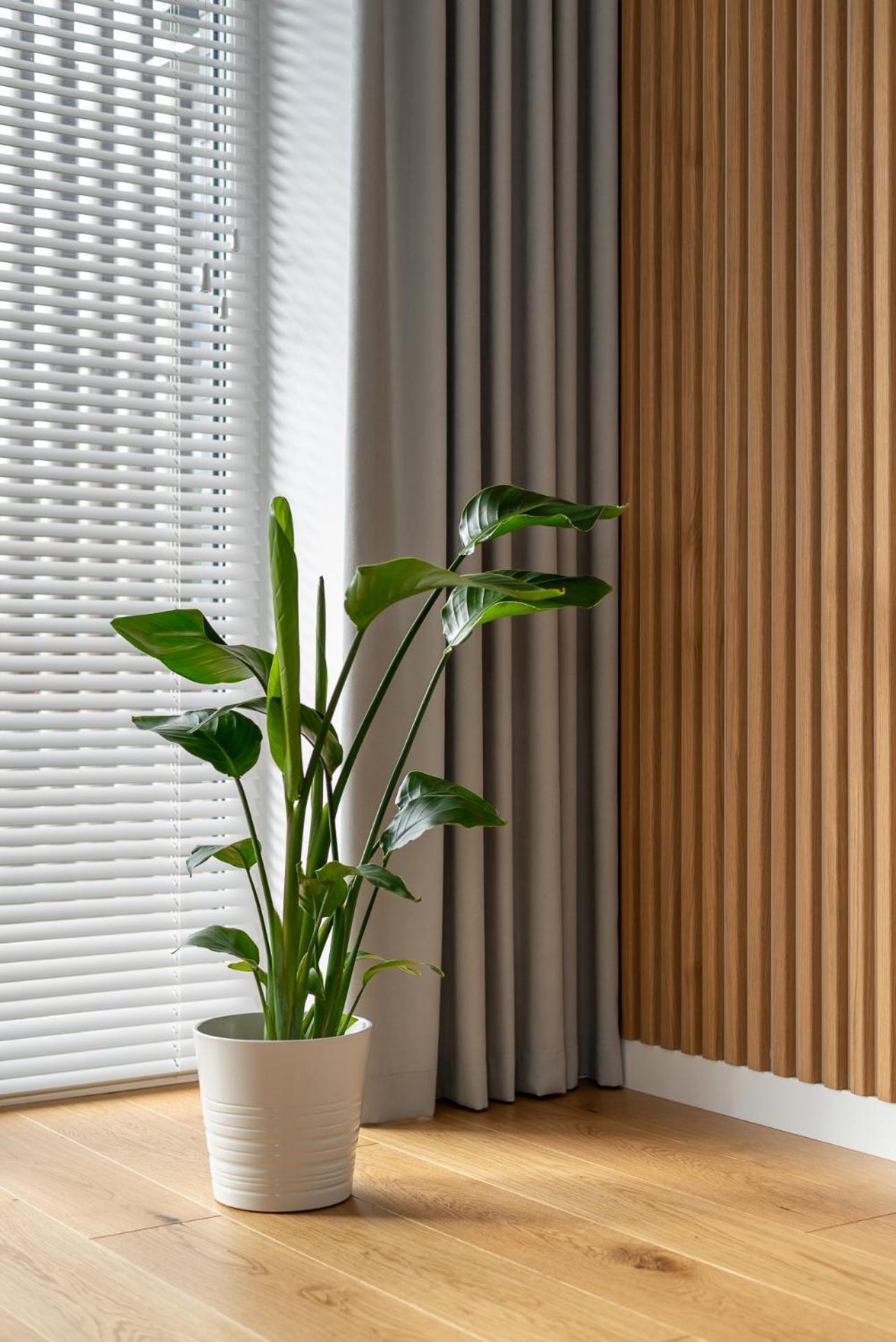 D33 Vilnius - Brand New Luxury Apartment With Terrace, Garden, Ac And Parking 外观 照片